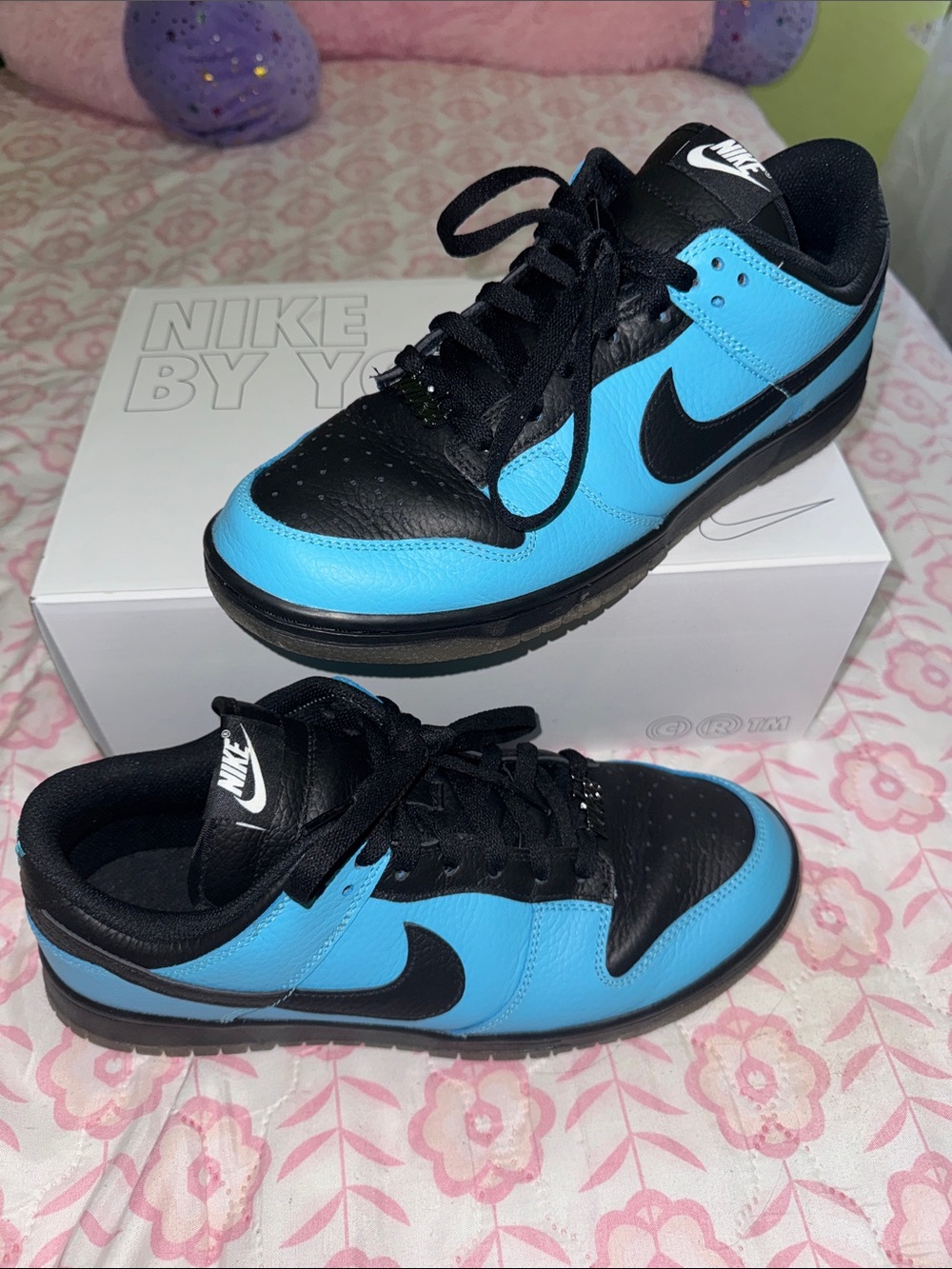Custom Nike Dunk Low